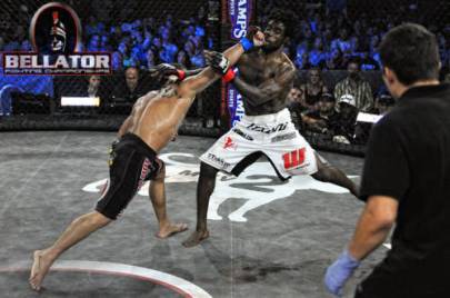 Pitbull packs some bite to go with that bark