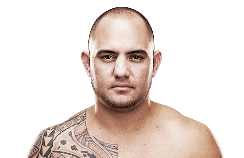 TravisBrowne_2012Headshot