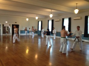 shohei-ryu, uechi-ryu, masters, camp, decosta, nakahodo, nakasone, higa, karate, martial arts