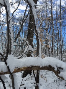 01480565a108171d36cd61567b78d43a534e0b9e59