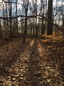 015172da046d086ba99c51df9433eaa53b5cf02e29