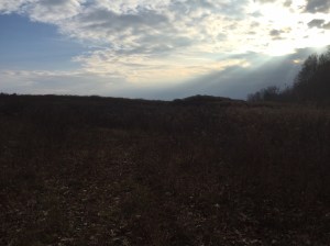 01625b293aec70b71e3452f859d3379b48d0aa3aa9