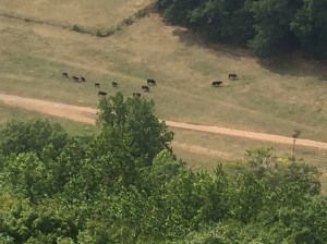 016279222d1214851fd0ad3e4f83cfa5f53bd12fc8