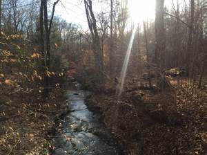 01785e1a751a15376c3f7cc1be7103017f91ef5d1a